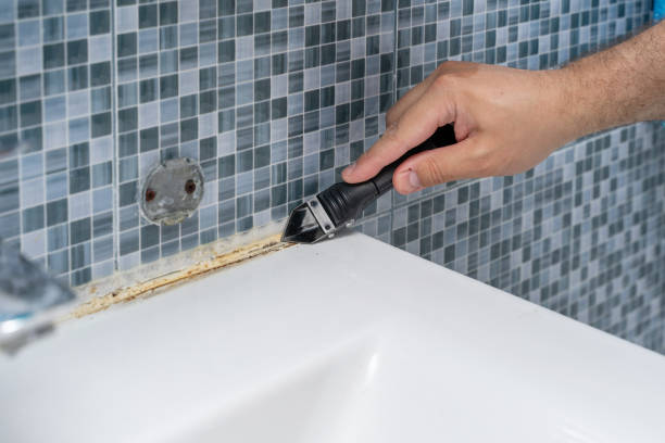 Best Home Mold Removal  in Esparto, CA