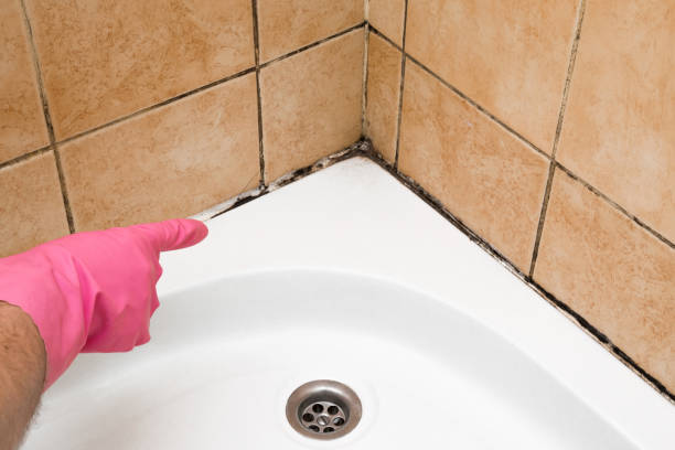 Best Black Mold Removal  in Esparto, CA